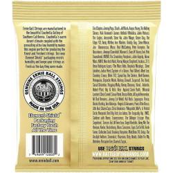 Струни для акустичної гітари Ernie Ball 2003 Earthwood 80/20 Bronze Medium Light 12/54