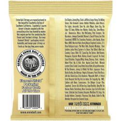 Струни для акустичної гітари Ernie Ball 2008 Earthwood 80/20 Bronze Rock and Blues 10/52