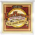 Струны для акустической гитары Ernie Ball 2043 Earthwood 80/20 Bronze Silk and Steel Reguilar 13/56