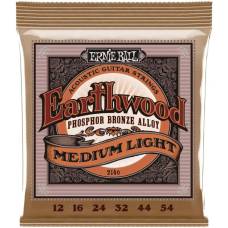 Струни для акустичної гітари Ernie Ball 2146 Earthwood Phosphor Bronze 12/54