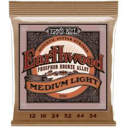 Струны для акустической гитары Ernie Ball 2146 Earthwood Phosphor Bronze 12/54