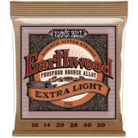 Струни для акустичної гітари Ernie Ball 2150 Earthwood Phosphor Bronze 10/50