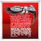 Струни для електрогітари Ernie Ball 2206 Medium Light Nickel Wound 12/54