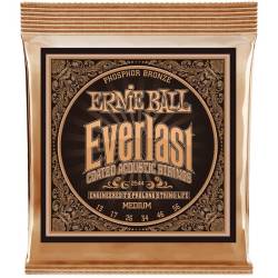 Струни для акустичної гітари Ernie Ball 2544 Everlast Medium Phosphor Bronze 13/56