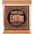 Струни для акустичної гітари Ernie Ball 2546 Everlast Medium Phosphor Bronze 12/54