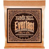 Струны для акустической гитары Ernie Ball 2546 Everlast Medium Phosphor Bronze 12/54