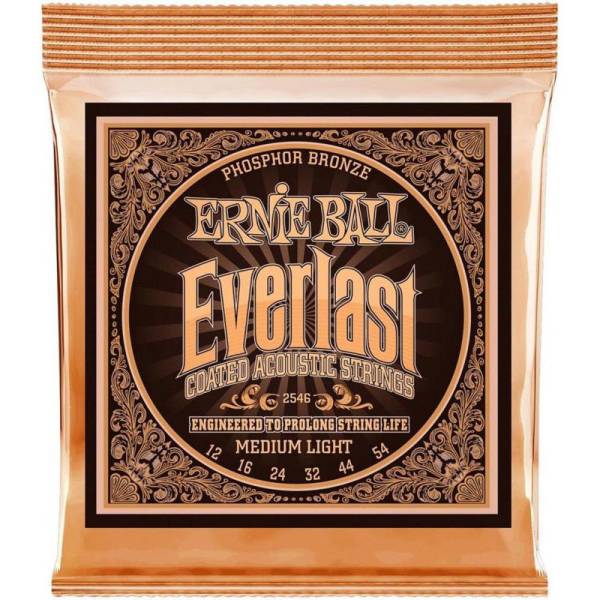 Струны для акустической гитары Ernie Ball 2546 Everlast Medium Phosphor Bronze 12/54