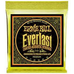 Струны для акустической гитары Ernie Ball 2554 Everlast 80/20 Bronze Medium 13/56
