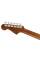 Електроакустична гітара Fender Redondo Special Honey Sunburst