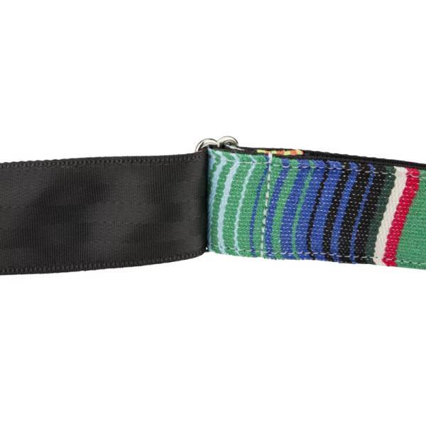 Ремінь для гітари FENDER STRAP 2" SERAPE GREEN MULTI