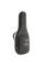Електрогітара FGN JMY3-ASH-E Mythic J-Standard (Open Pore Black)