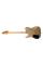 Електрогітара FRIEDMAN VINTAGE-T (Shoreline Gold) #0617-320