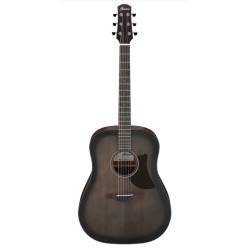 Акустична гітара Ibanez AAD50-TCB