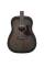 Акустична гітара Ibanez AAD50-TCB