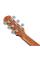 Акустична гітара Ibanez AAD50-TCB