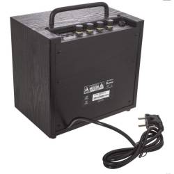 Комбоусилитель для бас-гитары Ibanez IBZ10BV2