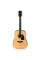 Акустическая гитара Ibanez PF15-NT