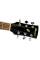 Акустическая гитара Ibanez PF15-NT
