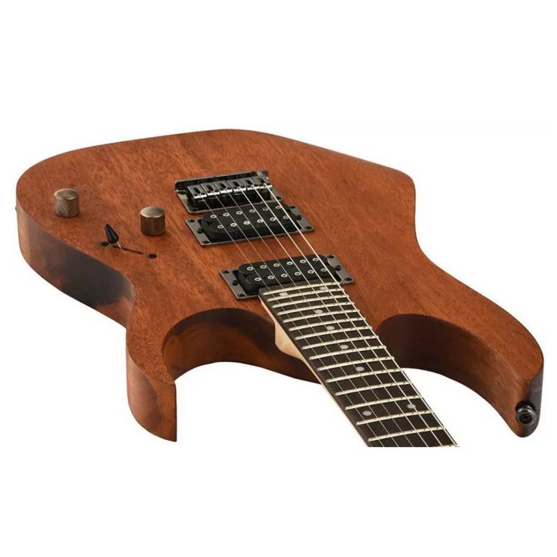 Электрогитара Ibanez RG421 MOL