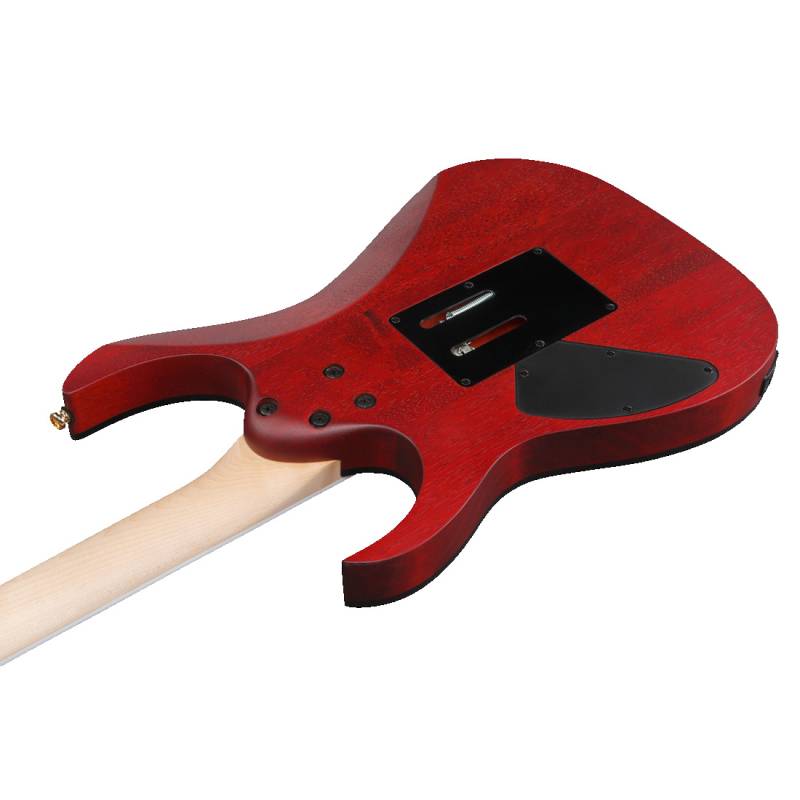 Электрогитара IBANEZ RGR420FMSP-TGF
