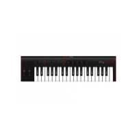 MIDI-клавиатура IK MULTIMEDIA iRIG KEYS 2