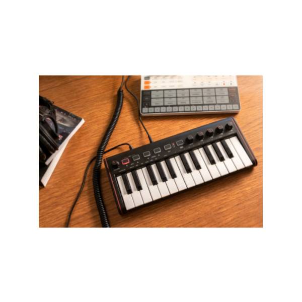 MIDI-клавіатура IK MULTIMEDIA iRIG KEYS 2 Mini