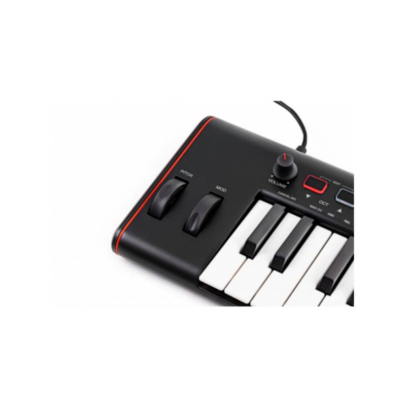 MIDI-клавиатура IK MULTIMEDIA iRIG KEYS 2