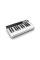 MIDI-клавіатура IK MULTIMEDIA iRIG KEYS I/O 25
