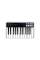 MIDI-клавіатура IK MULTIMEDIA iRIG KEYS I/O 25