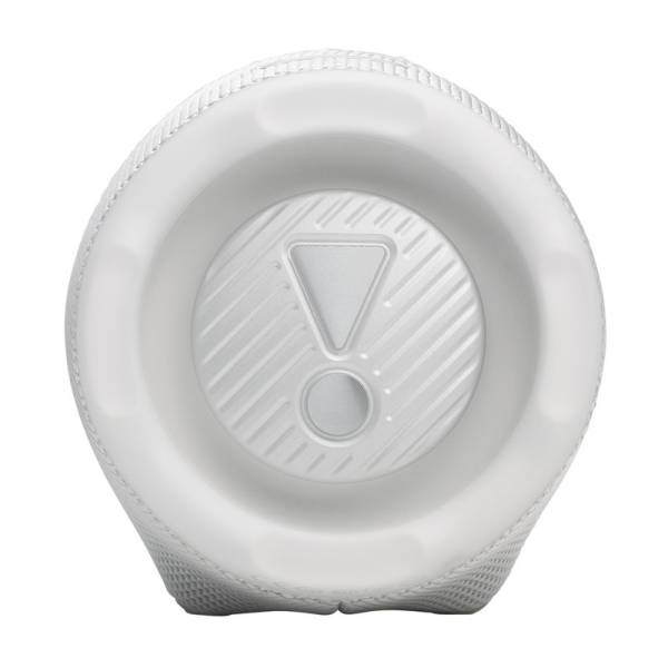 Портативная колонка JBL CHARGE 6 WHITE