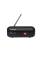 Портативная колонка JBL TUNER 2 FM
