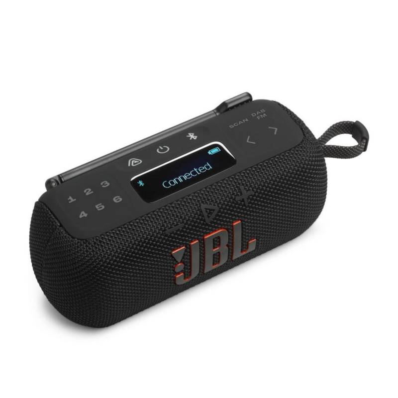 Портативная колонка JBL TUNER 3