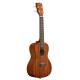 Укулеле Kala Makala Concert Ukulele Укулеле Kala Makala Concert Ukulele