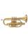 Корнет Maxtone TCC-53/L Cornet Bb