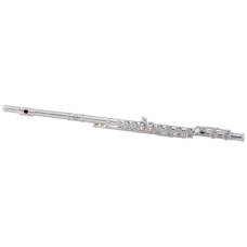 Флейта Maxtone TFC53N/1