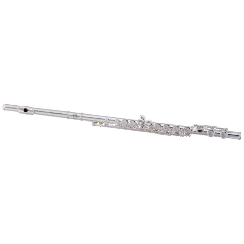 Флейта Maxtone TFC53N/1