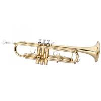 Труба Maxtone TTC23L