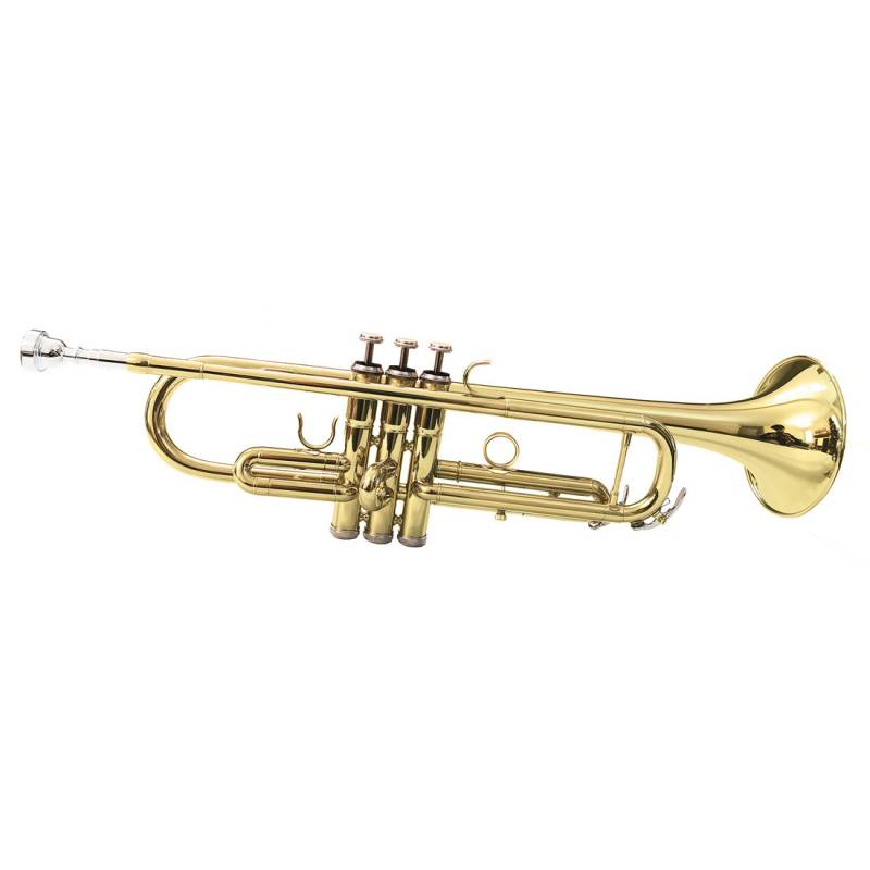 Труба Maxtone TTC60L2 (TTC234L)