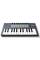 MIDI-клавиатура NOVATION FLkey Mini