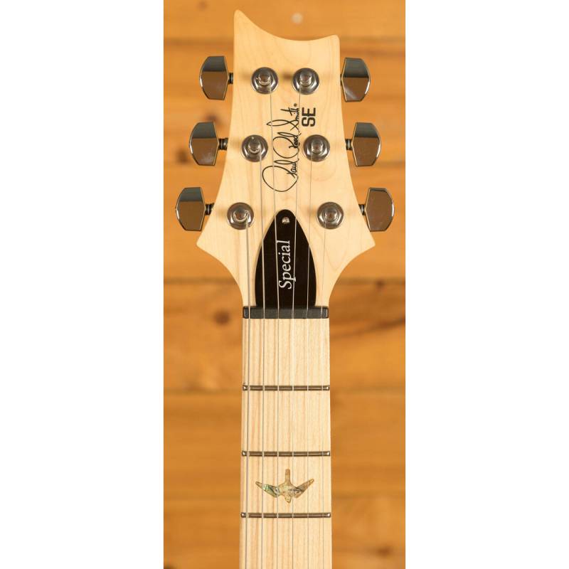 Электрогитара PRS SE Swamp Ash Special (Vintage Sunburst)