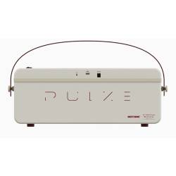 Гитарный комбоусилитель HOTONE AUDIO PULZE LUNA