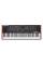 Синтезатор аналоговый SEQUENTIAL Prophet Rev2-8