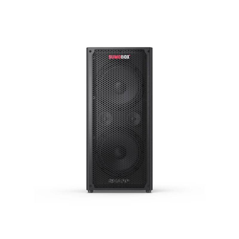 Акустическая система Sharp CP LC100