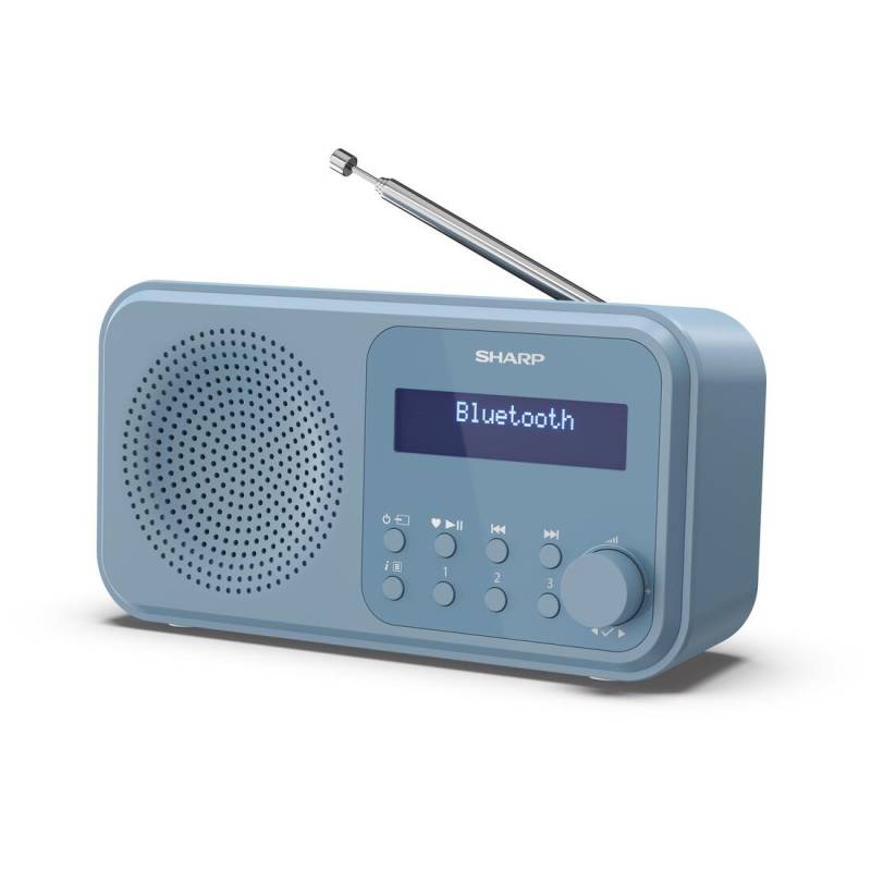 Акустика для дома Sharp DR P420 Blue