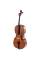 Виолончель STENTOR 1102/A STUDENT I CELLO OUTFIT 4/4