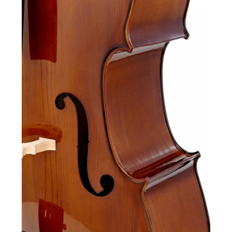 Виолончель STENTOR 1102/A STUDENT I CELLO OUTFIT 4/4