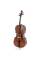 Виолончель STENTOR 1102/C STUDENT I CELLO OUTFIT 3/4