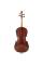Виолончель STENTOR 1102/C STUDENT I CELLO OUTFIT 3/4