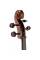 Віолончель STENTOR 1102/C STUDENT I CELLO OUTFIT 3/4