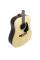 Акустическая гитара Takamine GD51-NAT